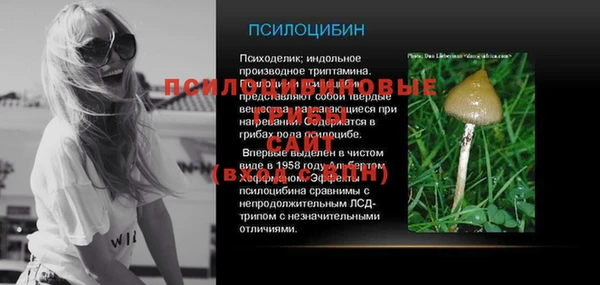 шишки Алексеевка