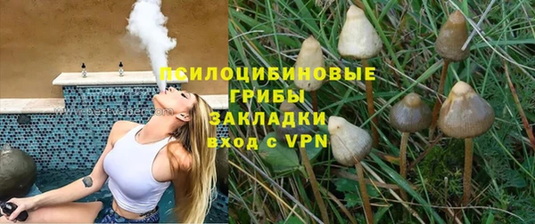 шишки Алексеевка