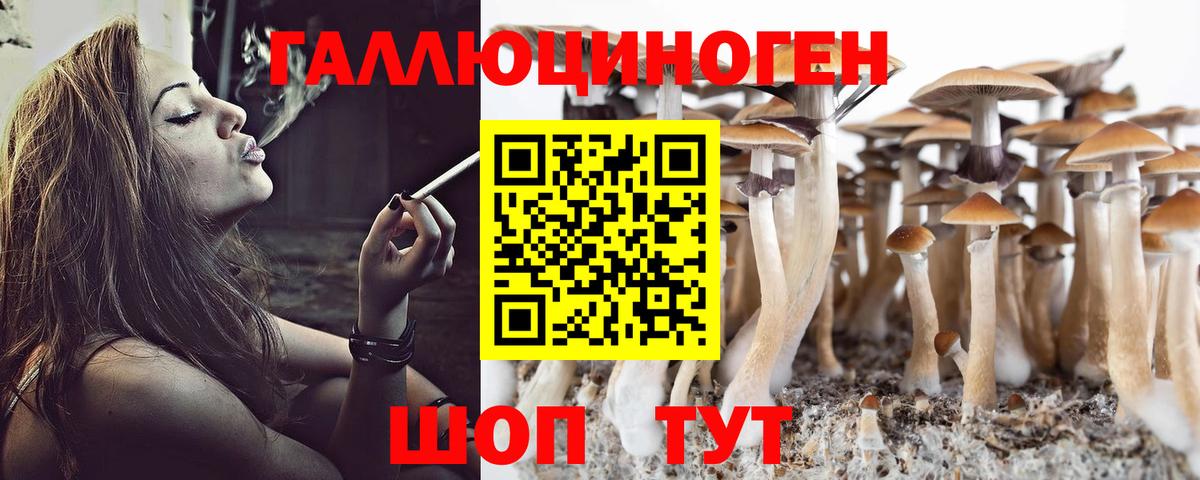 Белебей  Галлюциногенные грибы Cubensis  Вход с VPN 
